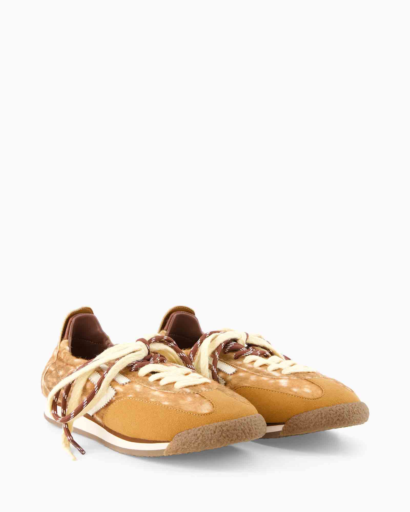 schoen, sneaker, canvas, veterschoen, bruin