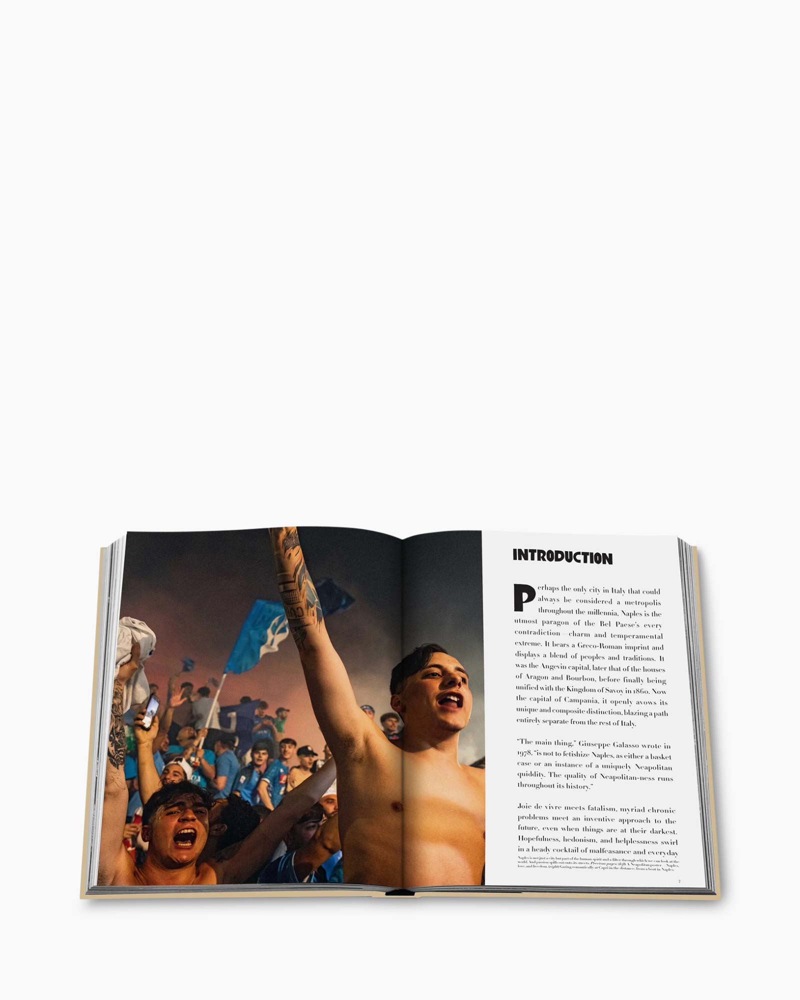 Boek Napoli Amore Diversen