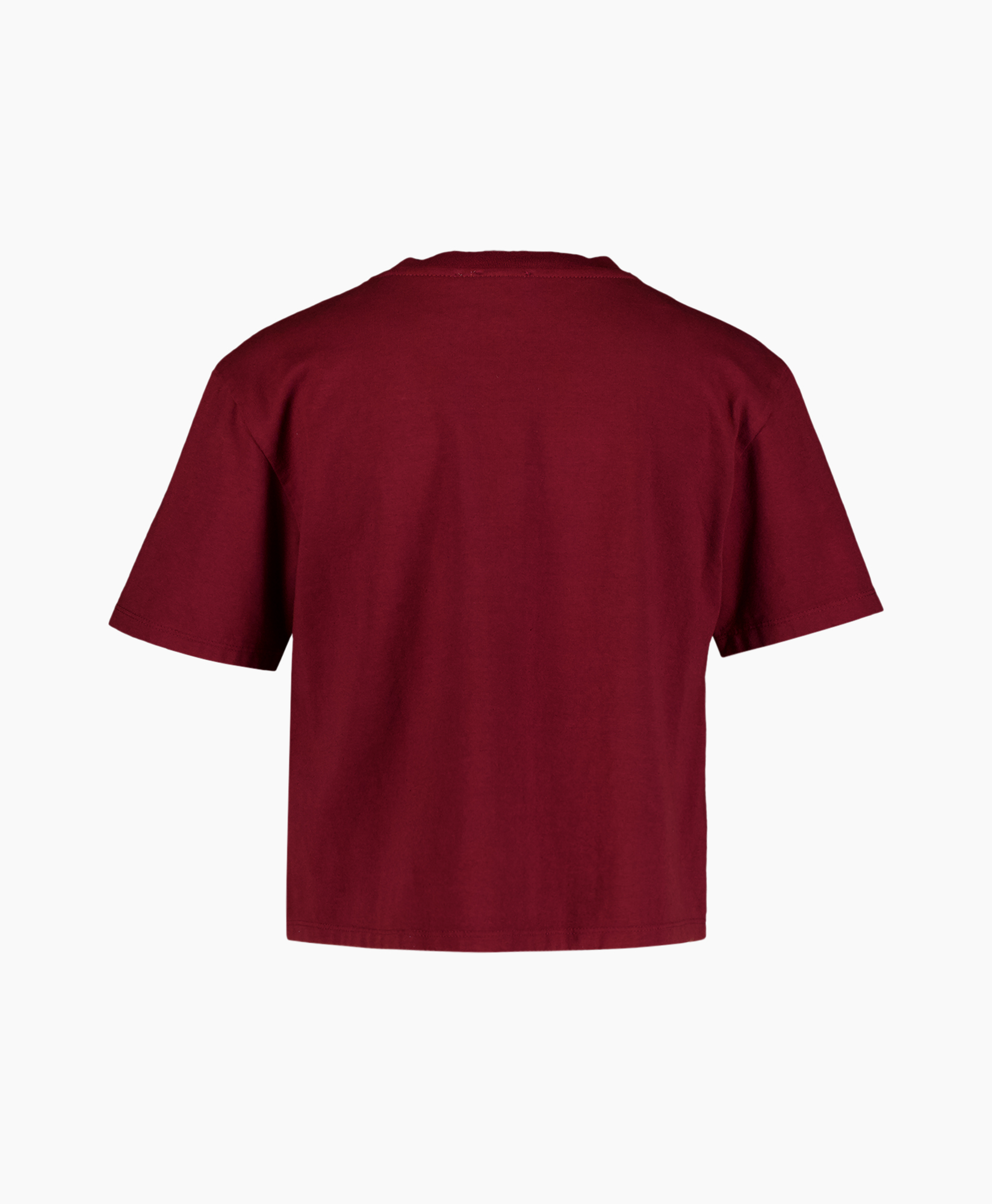 Kleding, T-shirt, Kastanjebruin