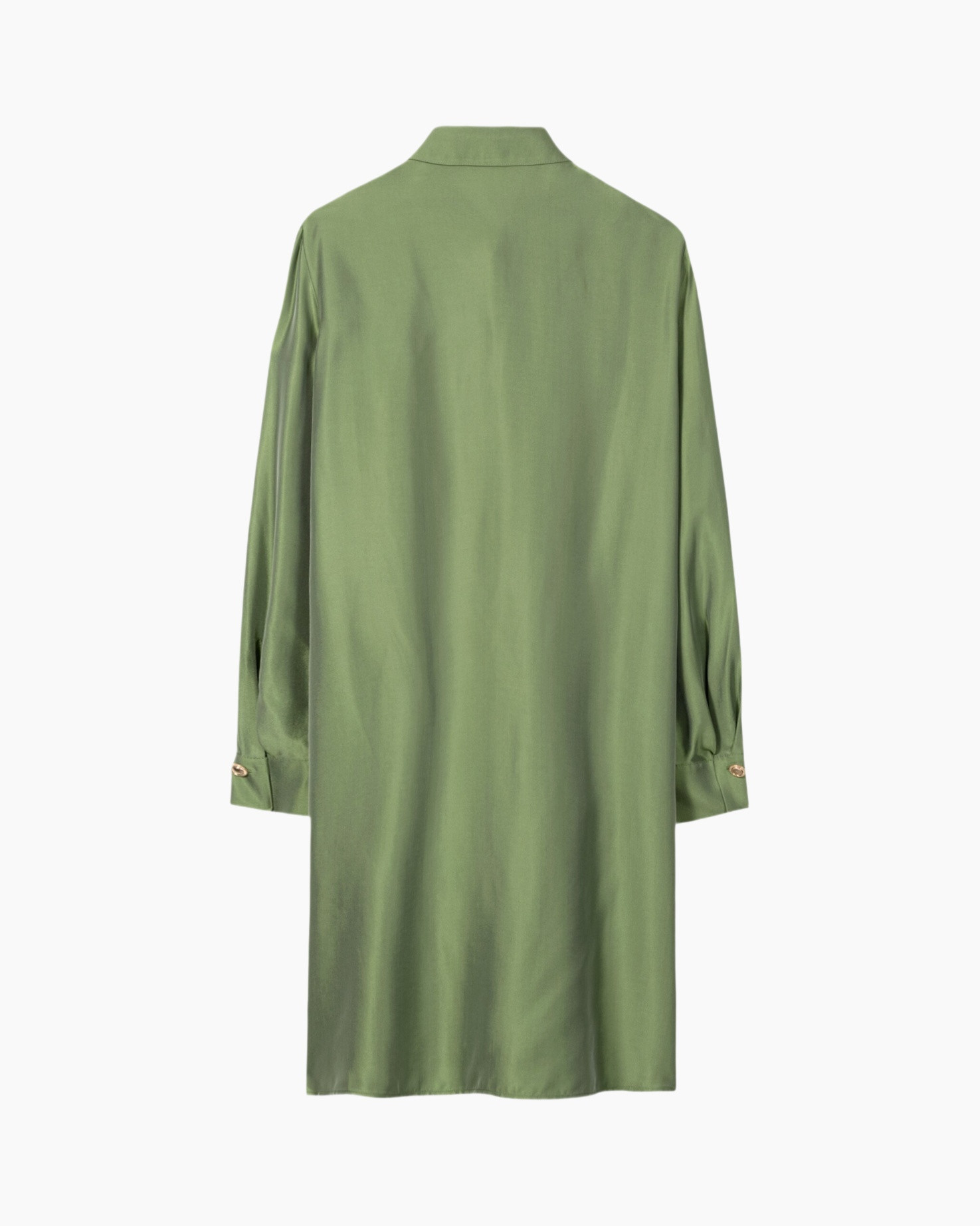 groen, zijde, lang, mouw, overzicht