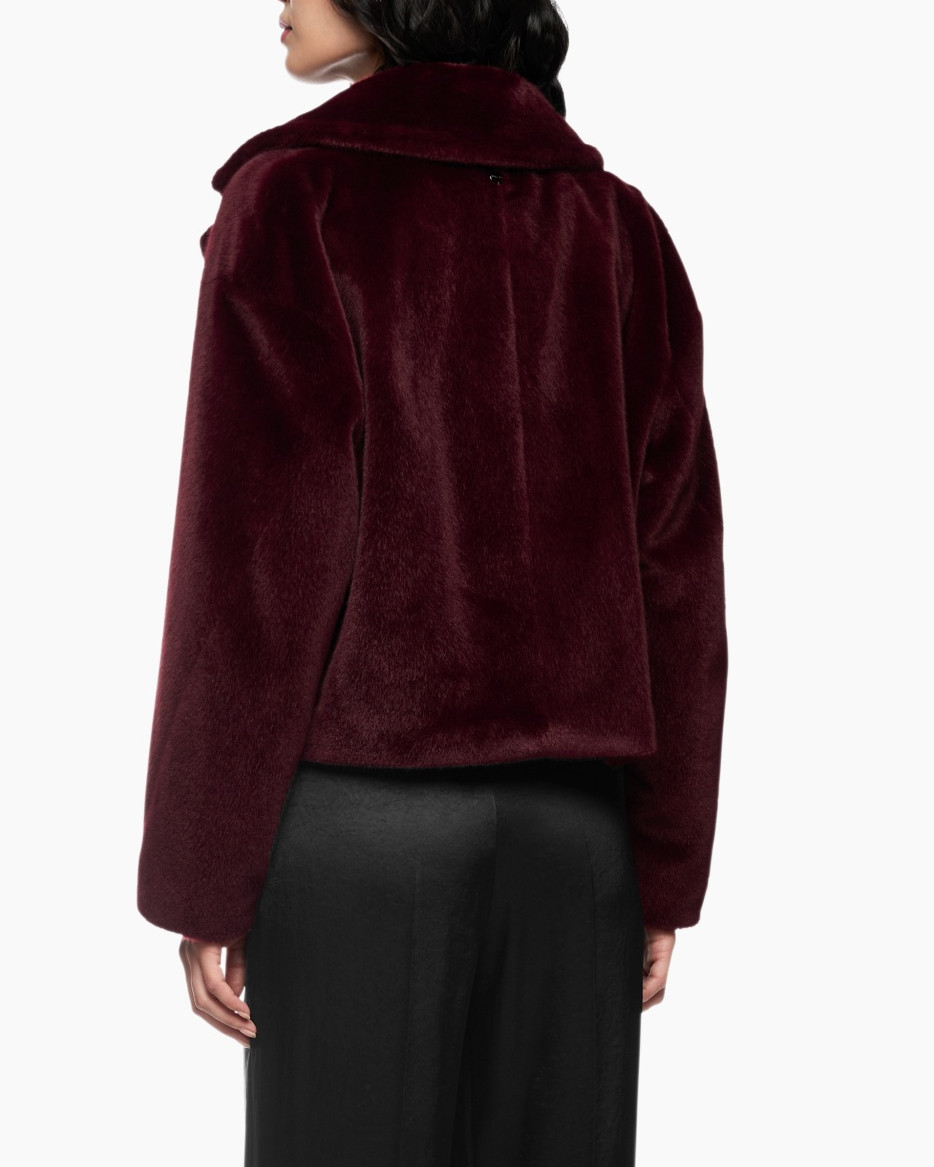 Jack Zc 12.13 W42 Diverse