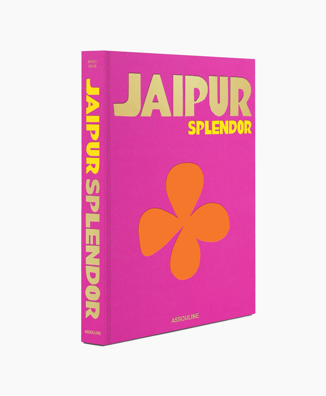Boek Jaipur Splendor Diversen