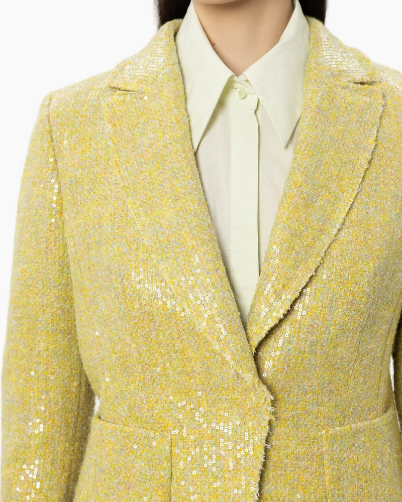 blazer, sequin, geel, blazer, kraag