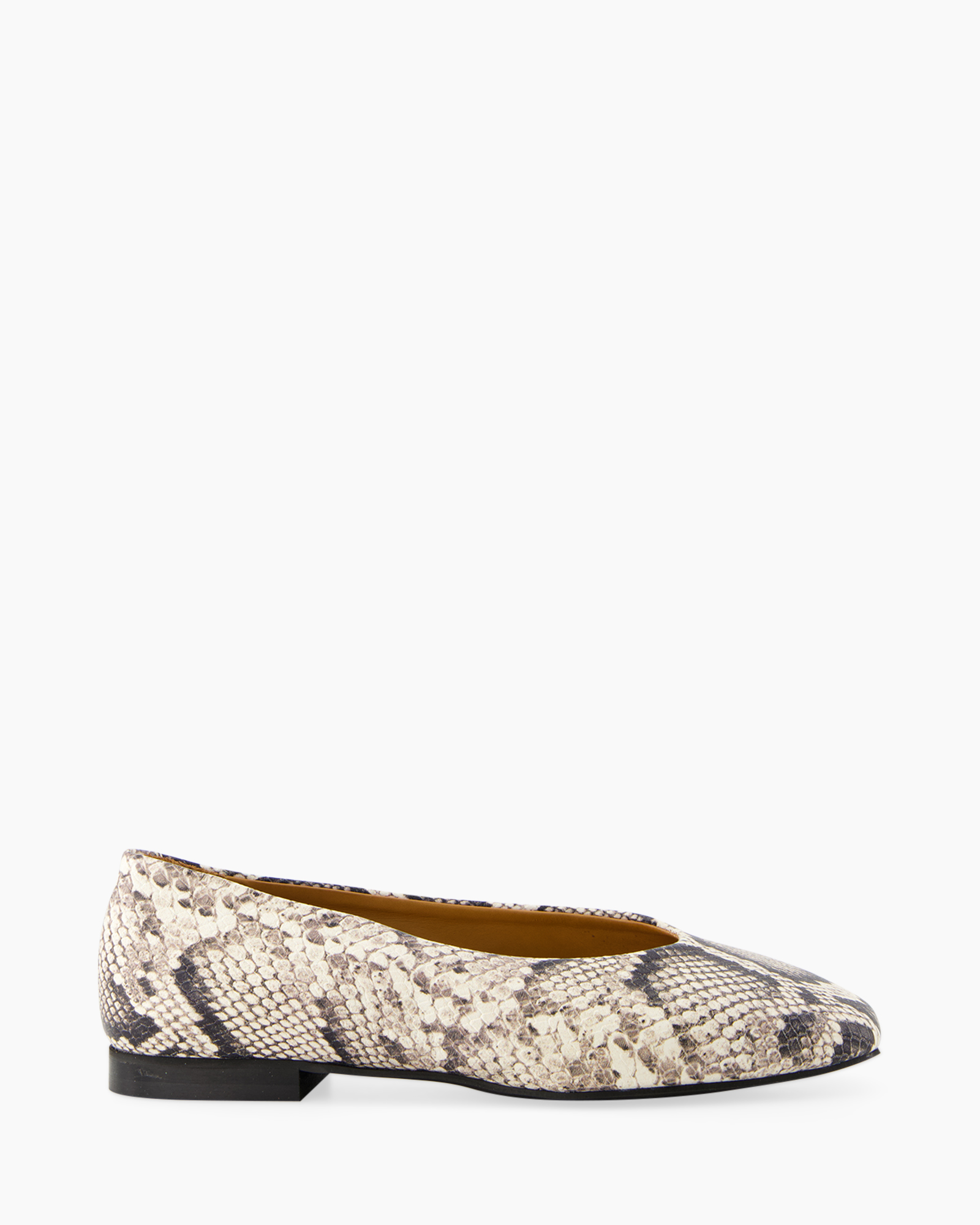 flat, ballet, snake skin, snakeskin, shoes