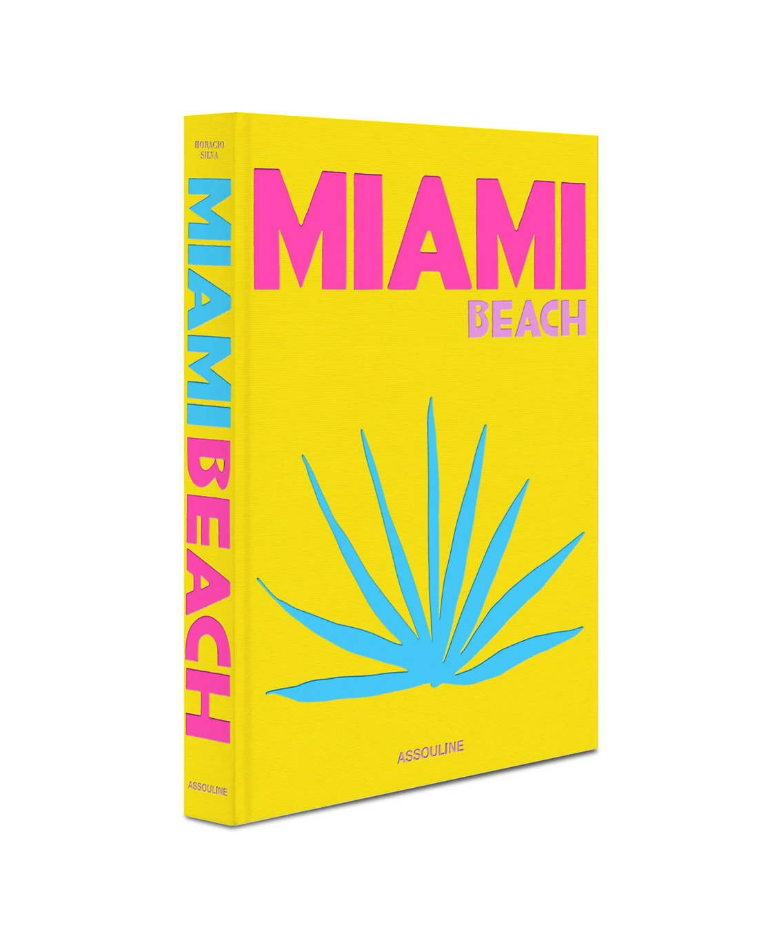 Boek Miami Beach Diversen