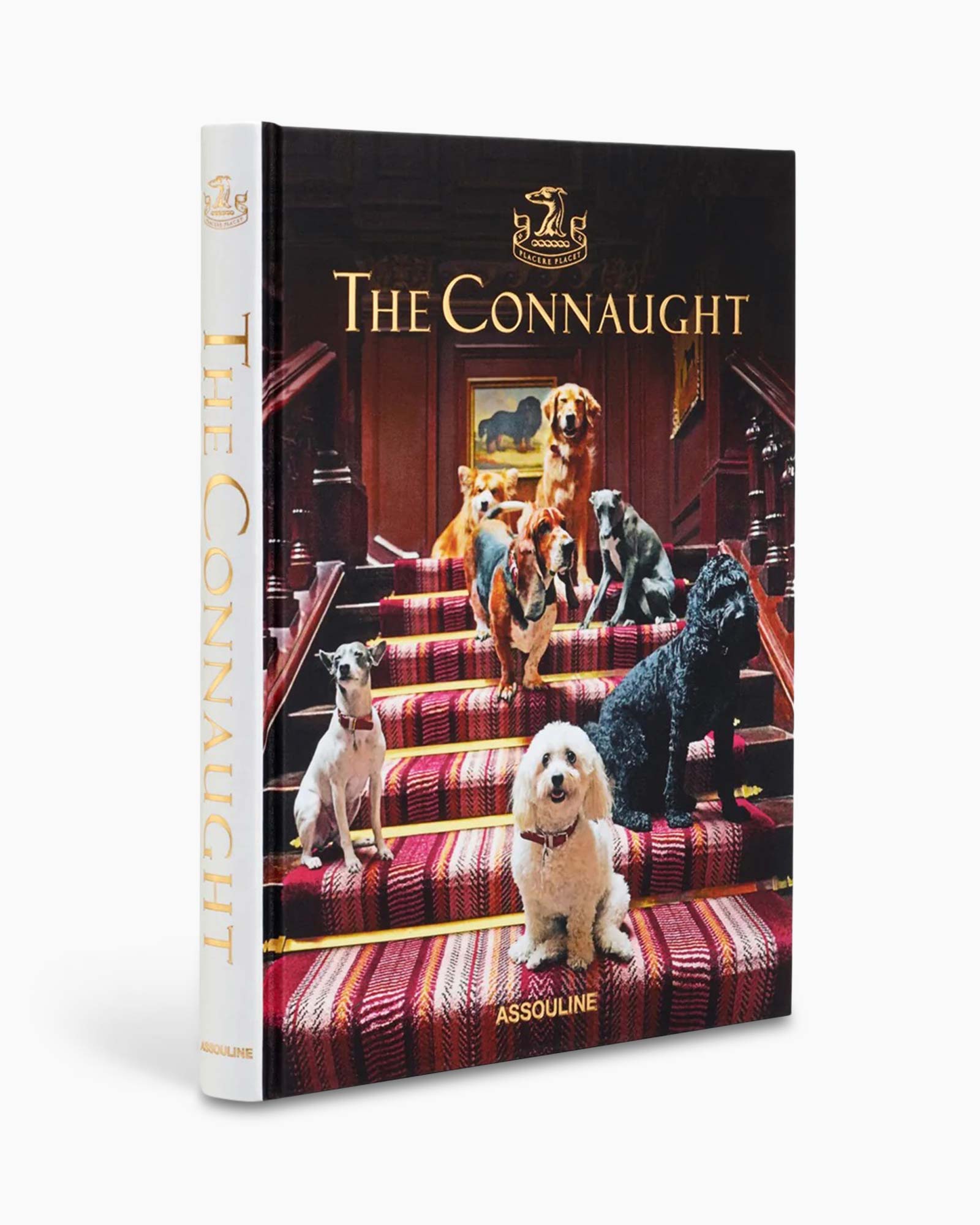 Book, Publication, Dog, Mammal, Pet