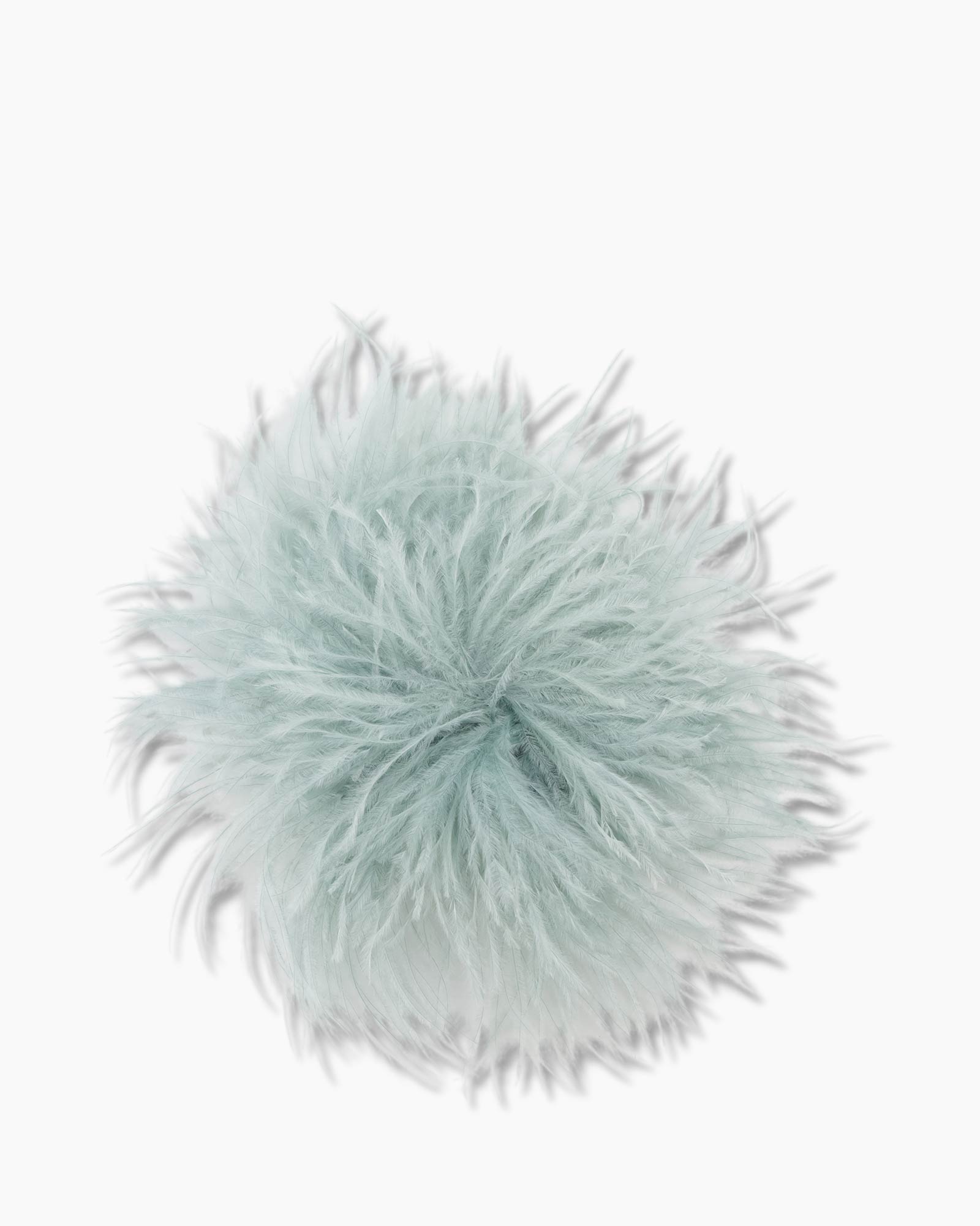 Bloem, Plant, Woondecoratie