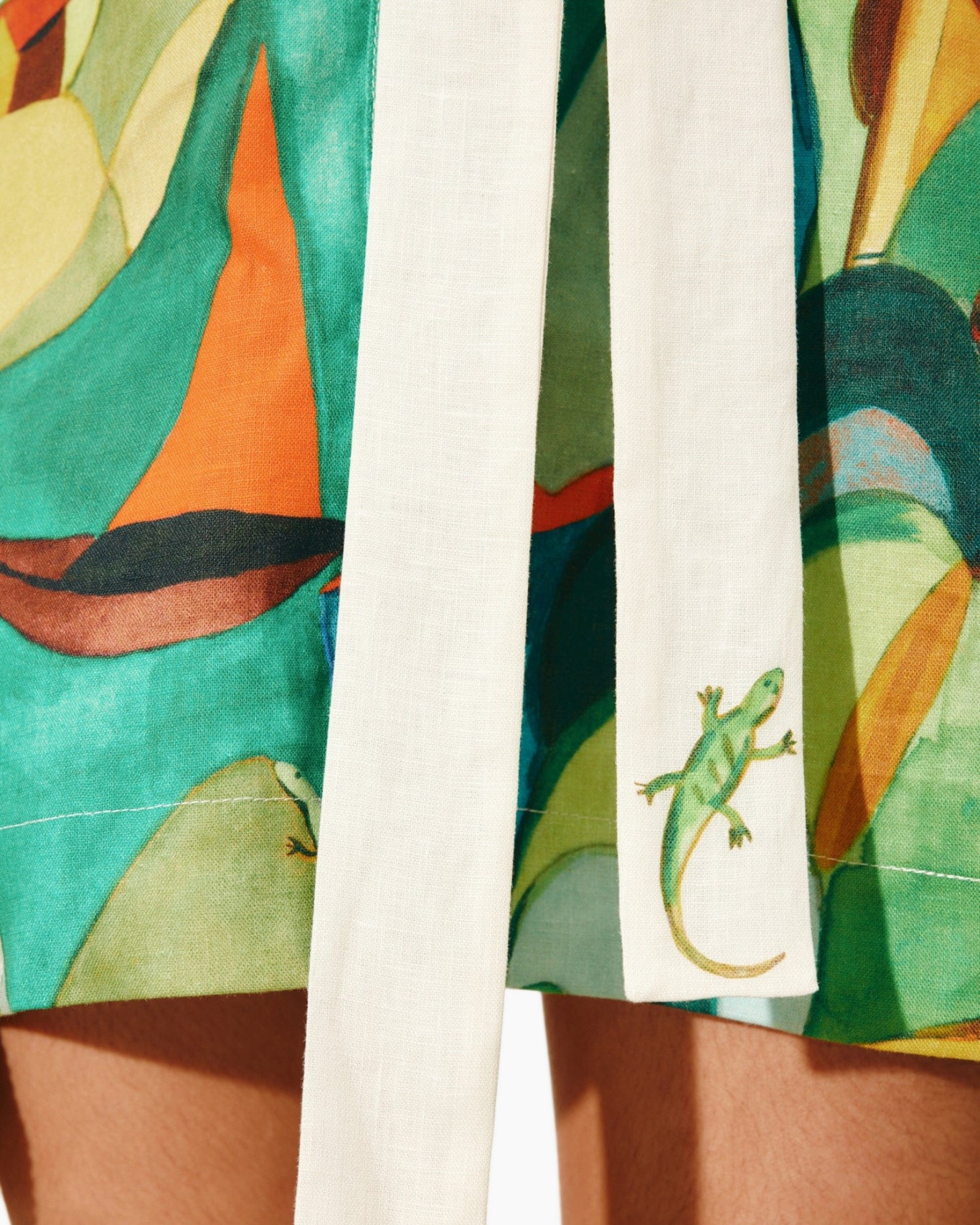 Animal, Lizard, Reptile