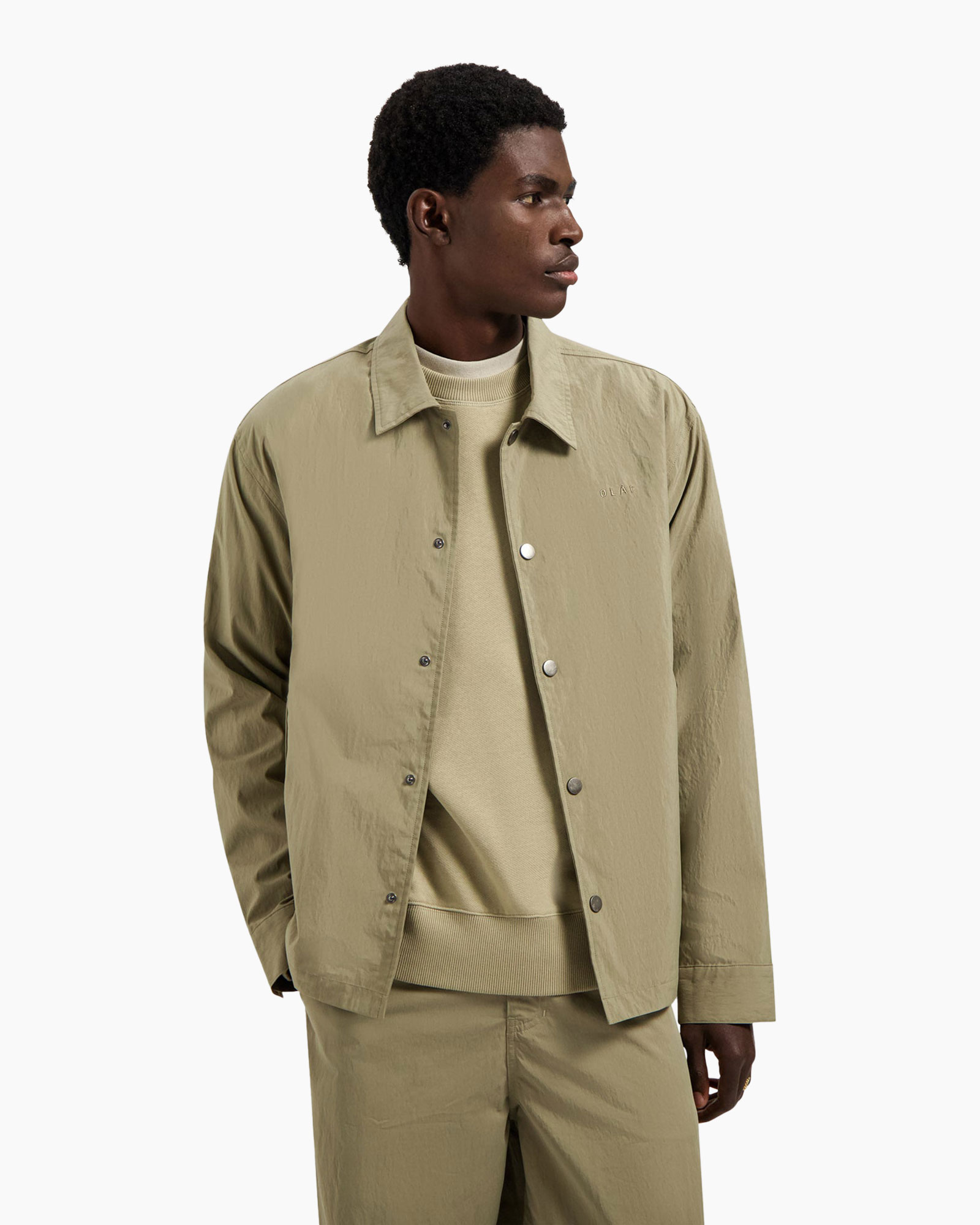 Shirt, Overhemd, Volwassene, Man, Persoon