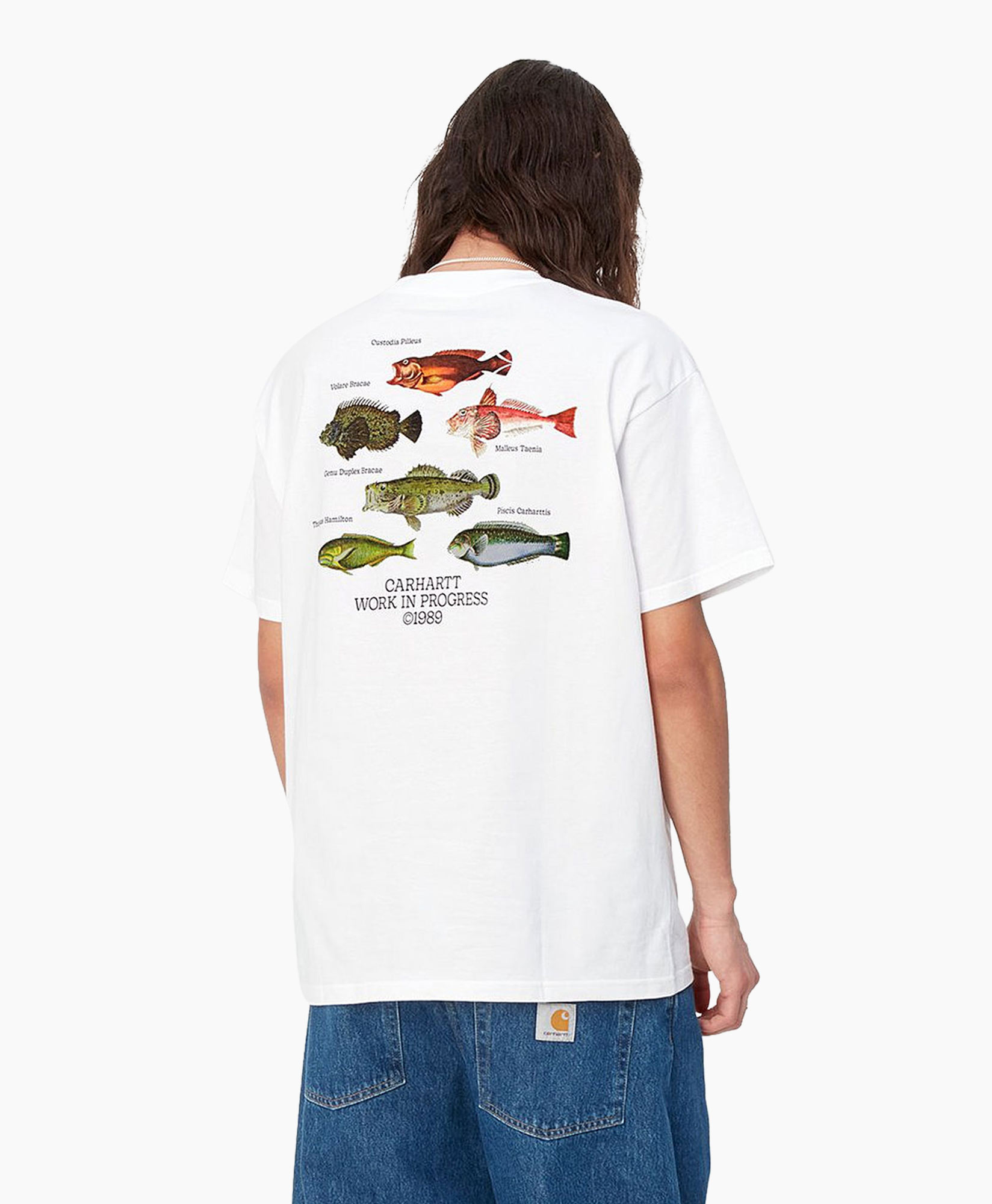 T-shirt Korte Mouw S/s Fish Wit