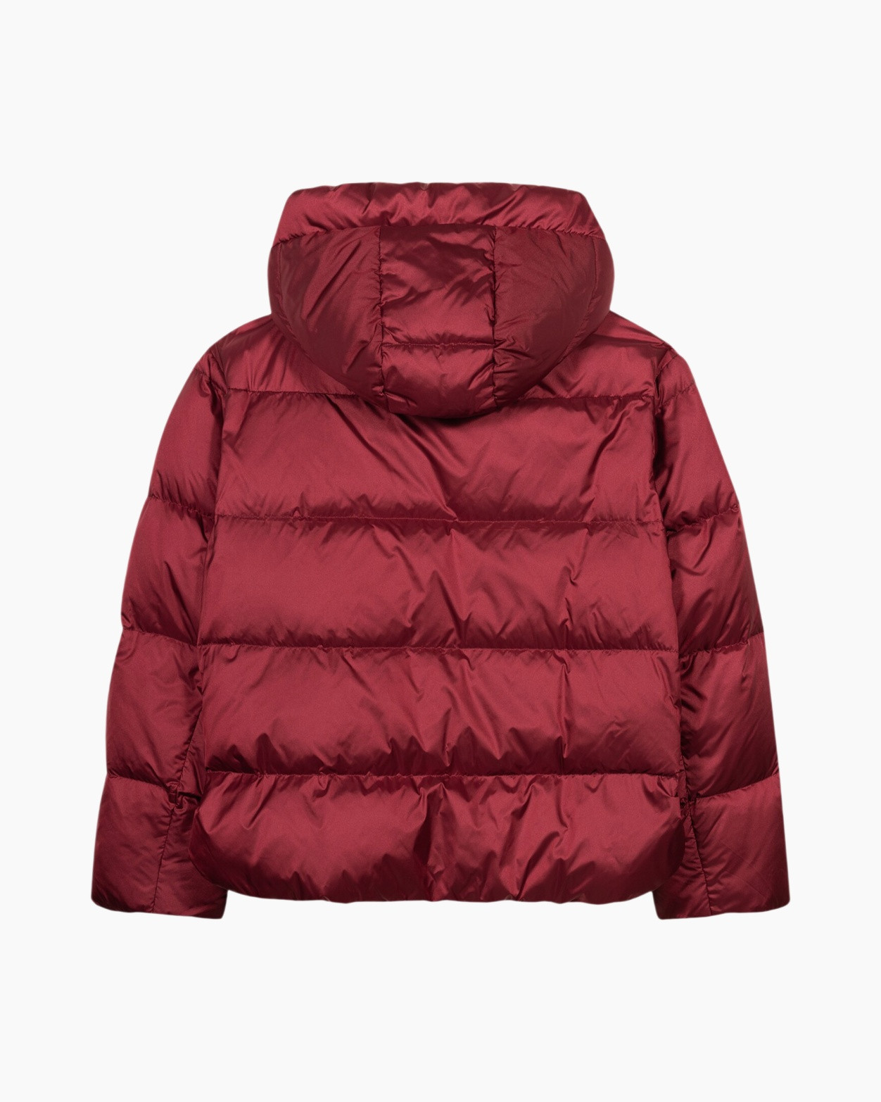 Jack 428513/4144-0 Rood