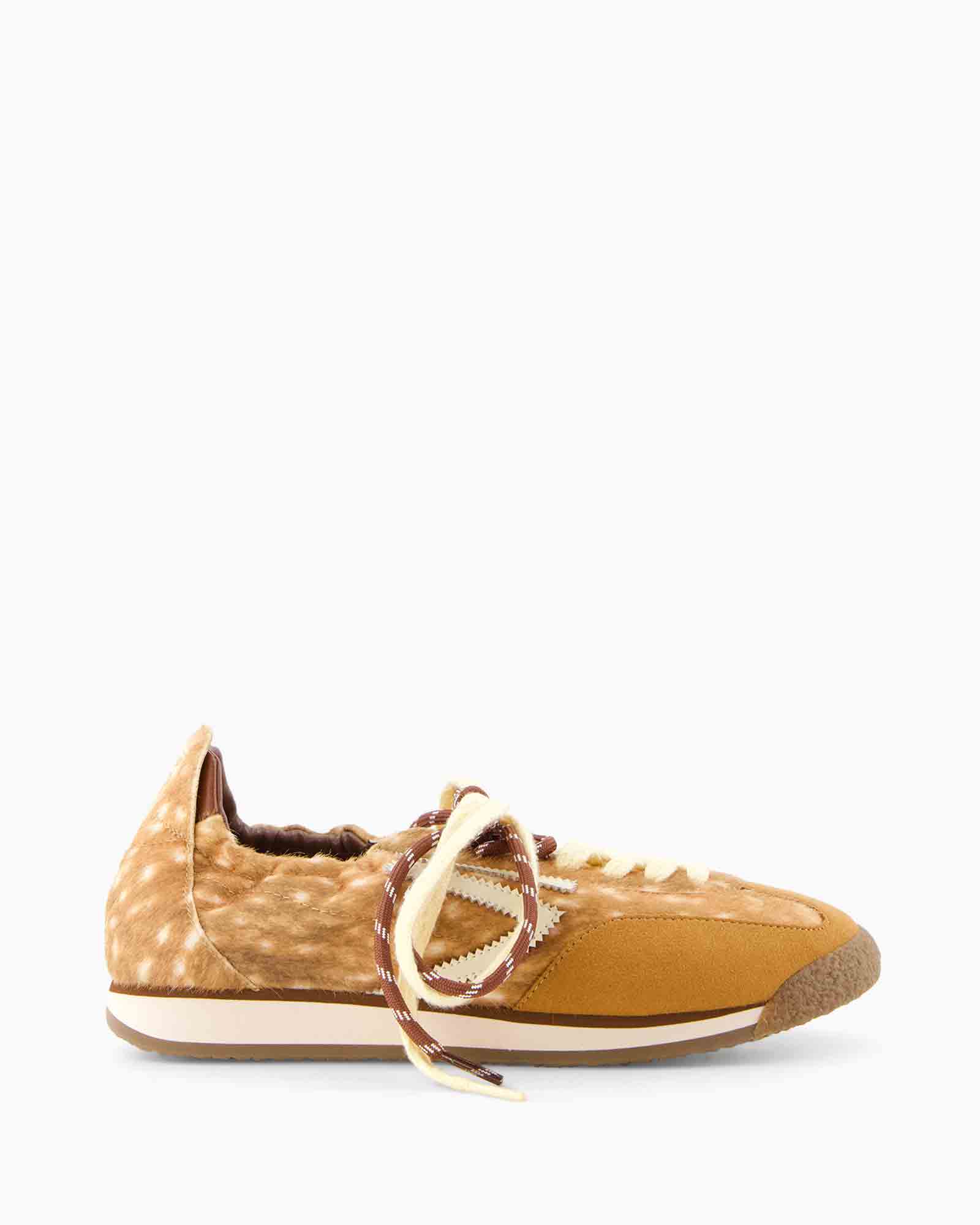schoen, sneaker, canvas, veterschoen, bruin