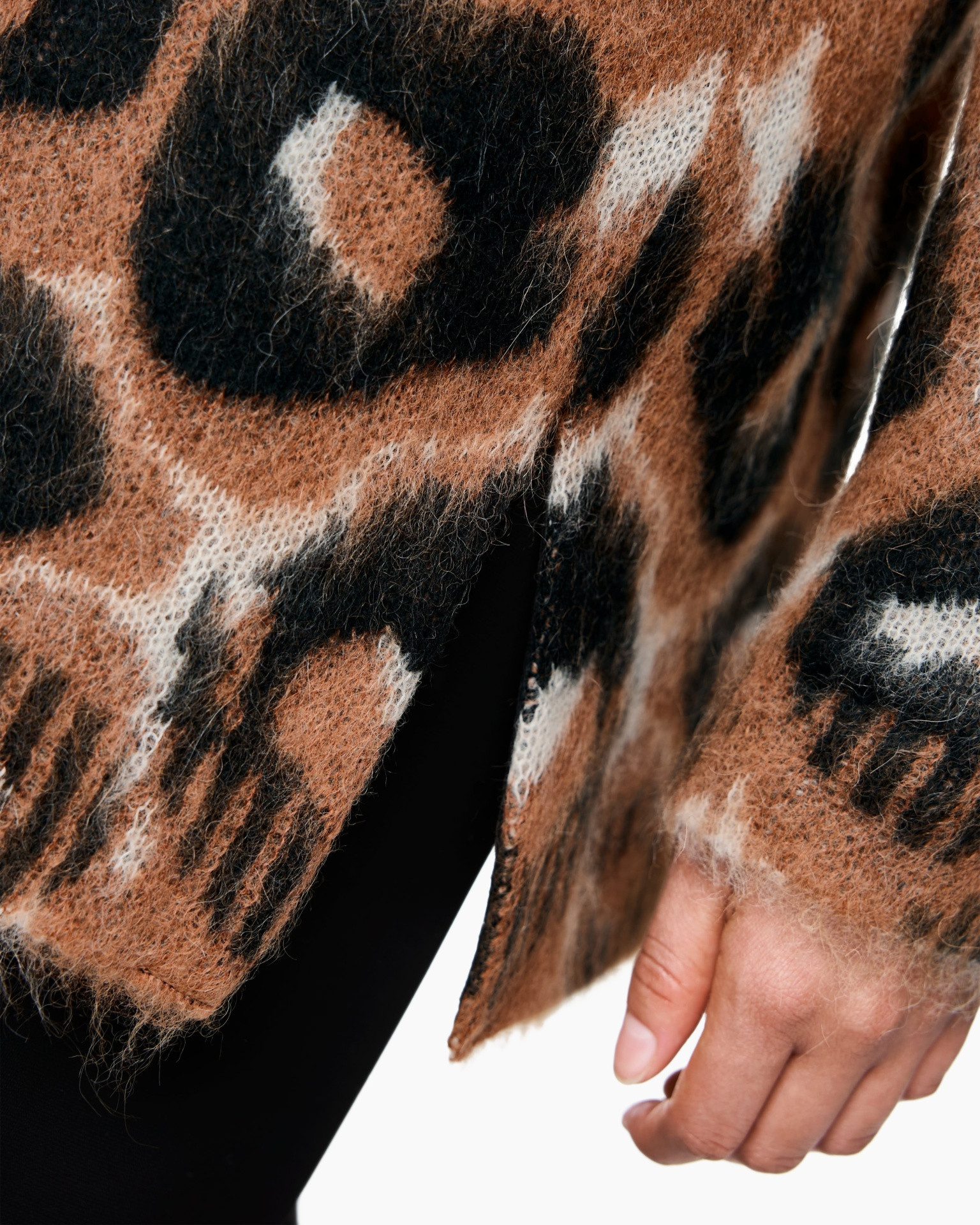 Dier, Paard, Zoogdier