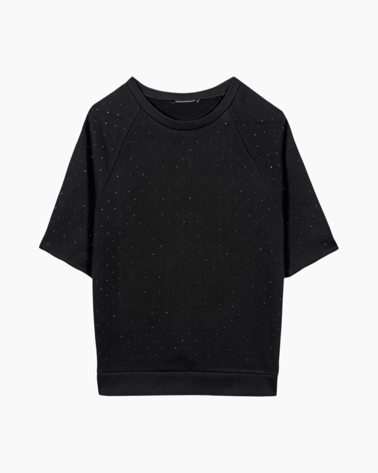 Kleding, T-shirt, Trui, Sweatshirt, Jas