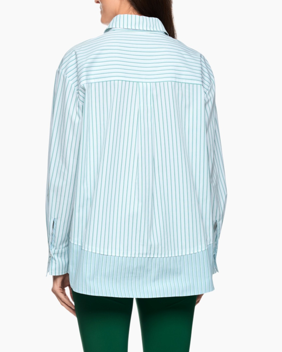 Clothing, Shirt, Long Sleeve, Blouse, Dress Shirt