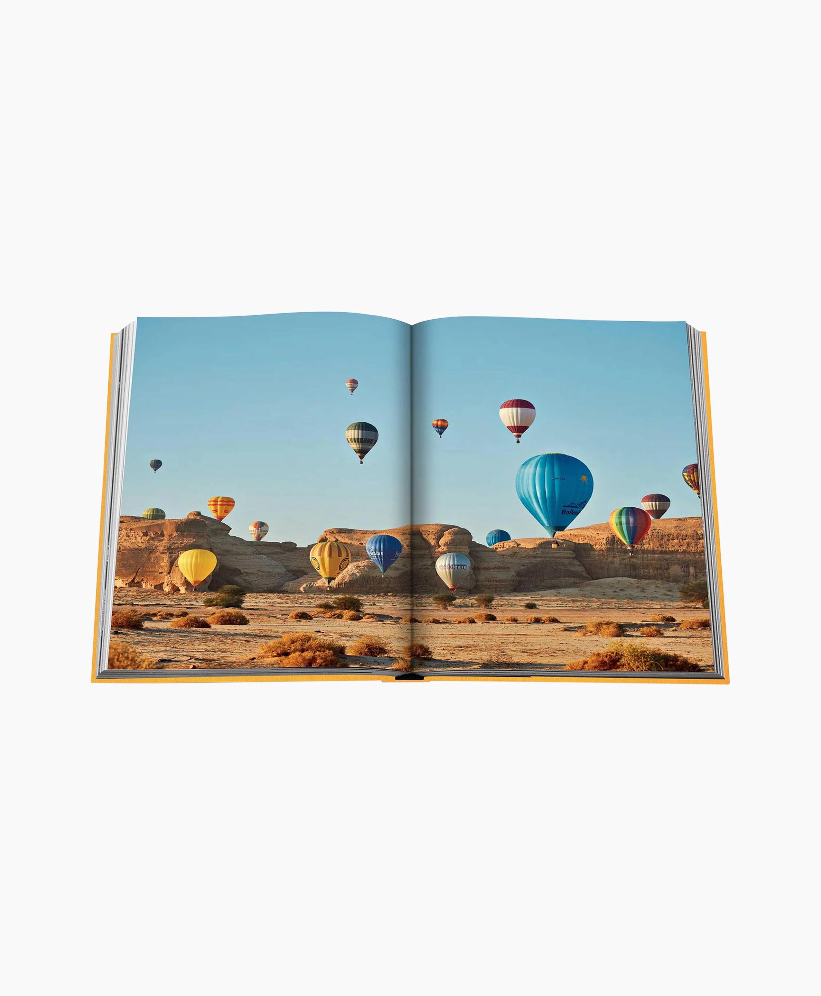 Boek Alula Ever Diversen