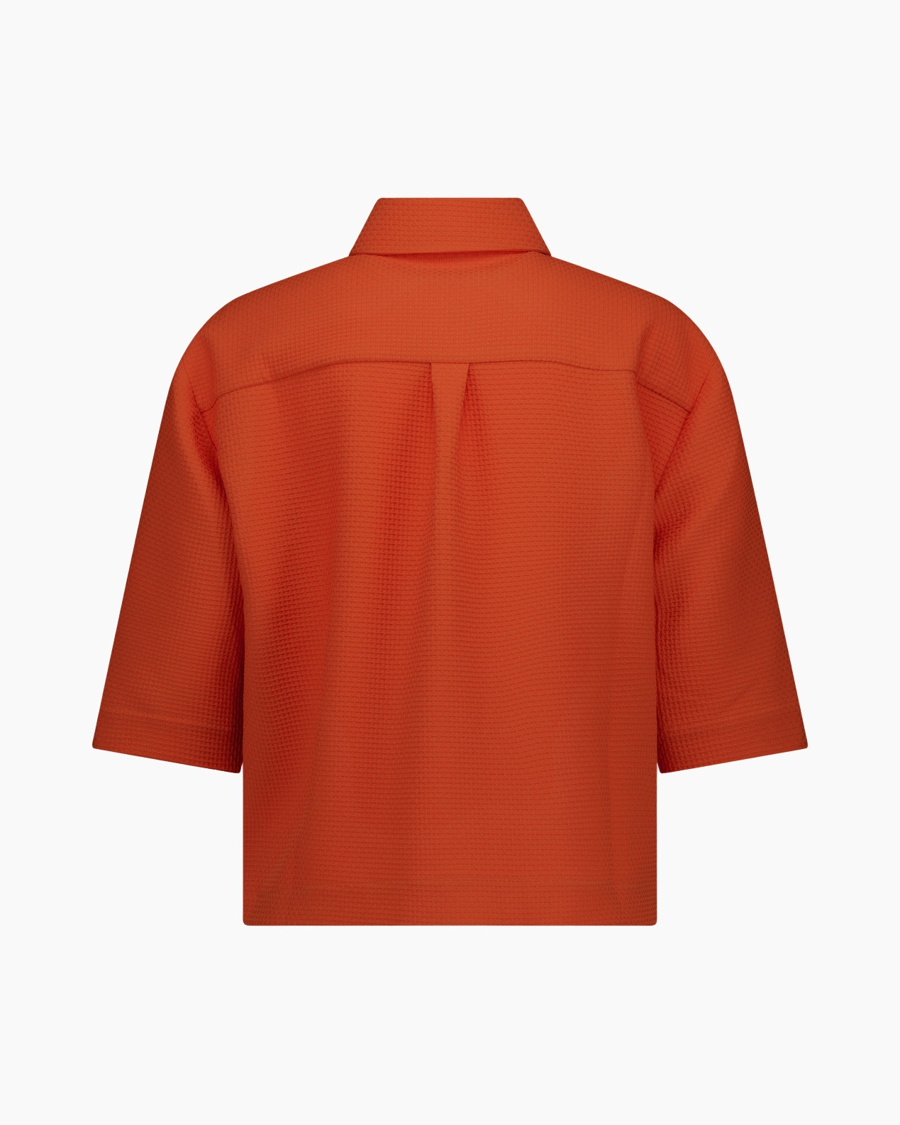 blouse, drieviertelig-sleeve, kraag, oranje, textuur