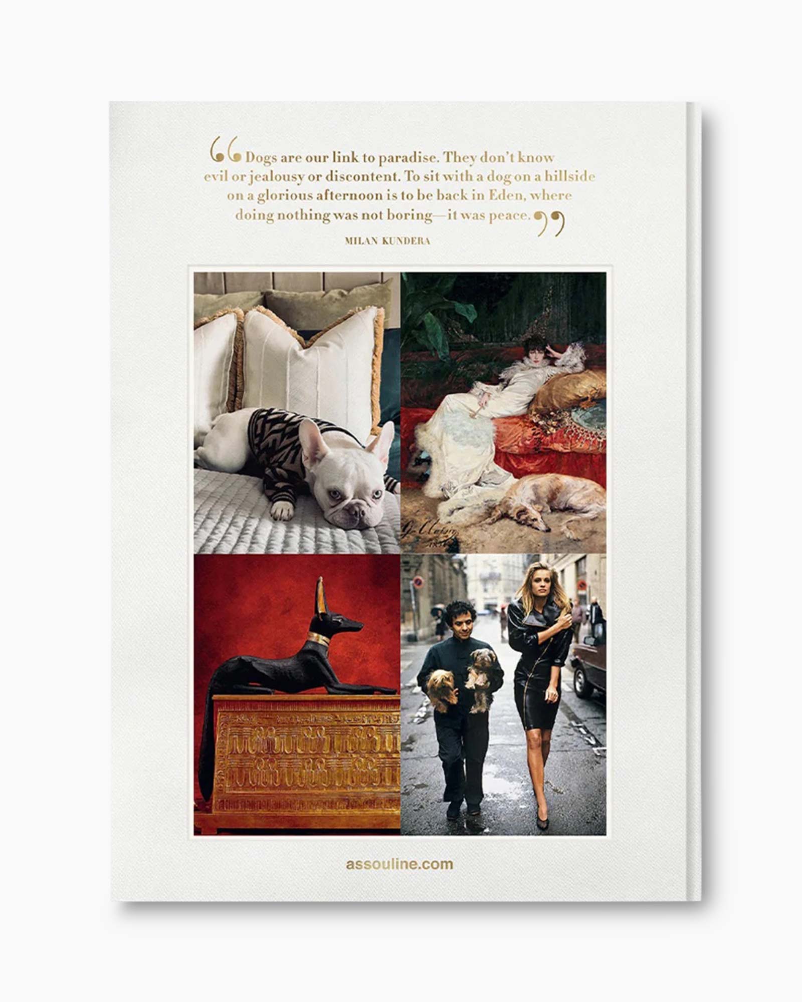 Boek Chic Dogs Diversen