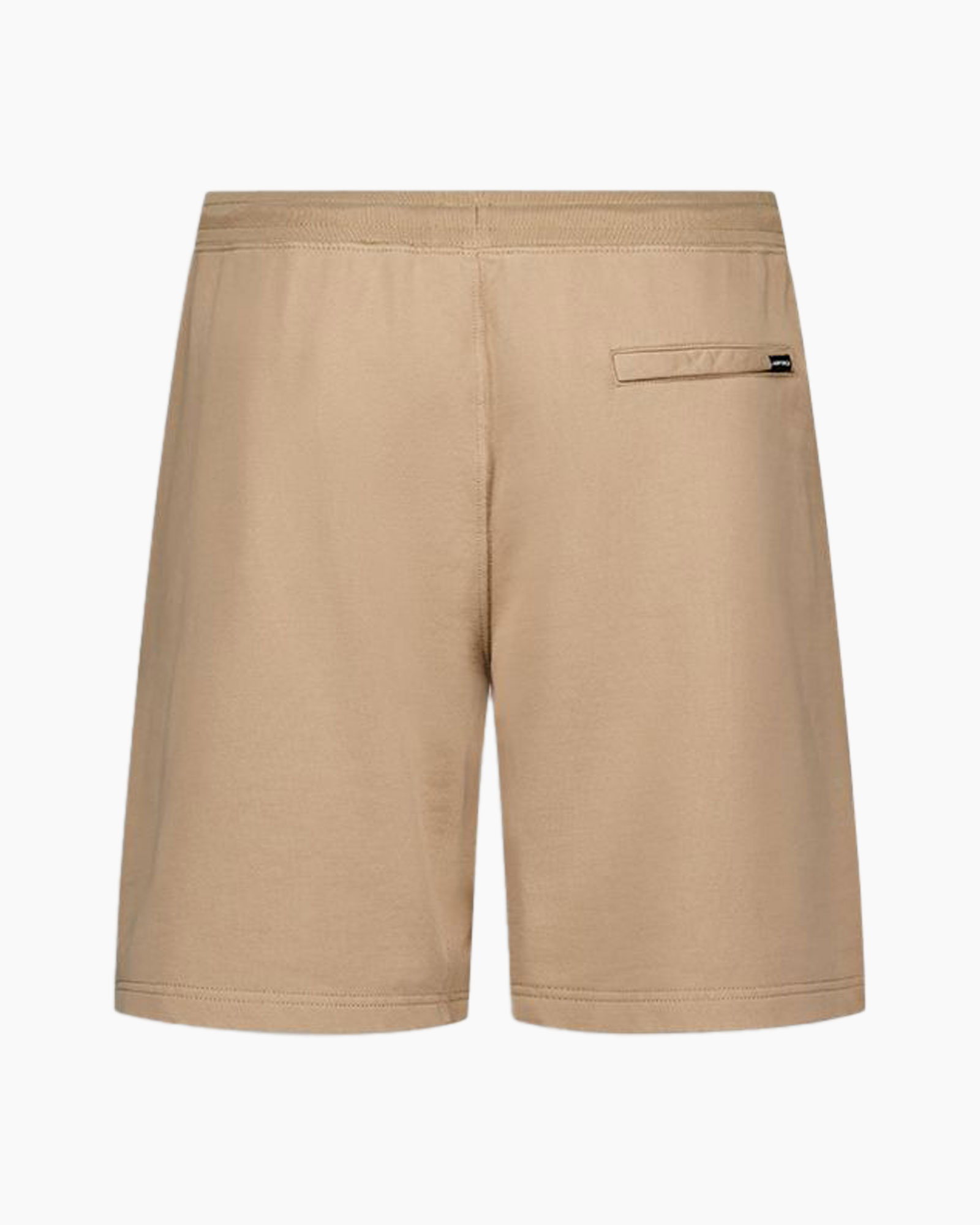 Short Basic Bruin