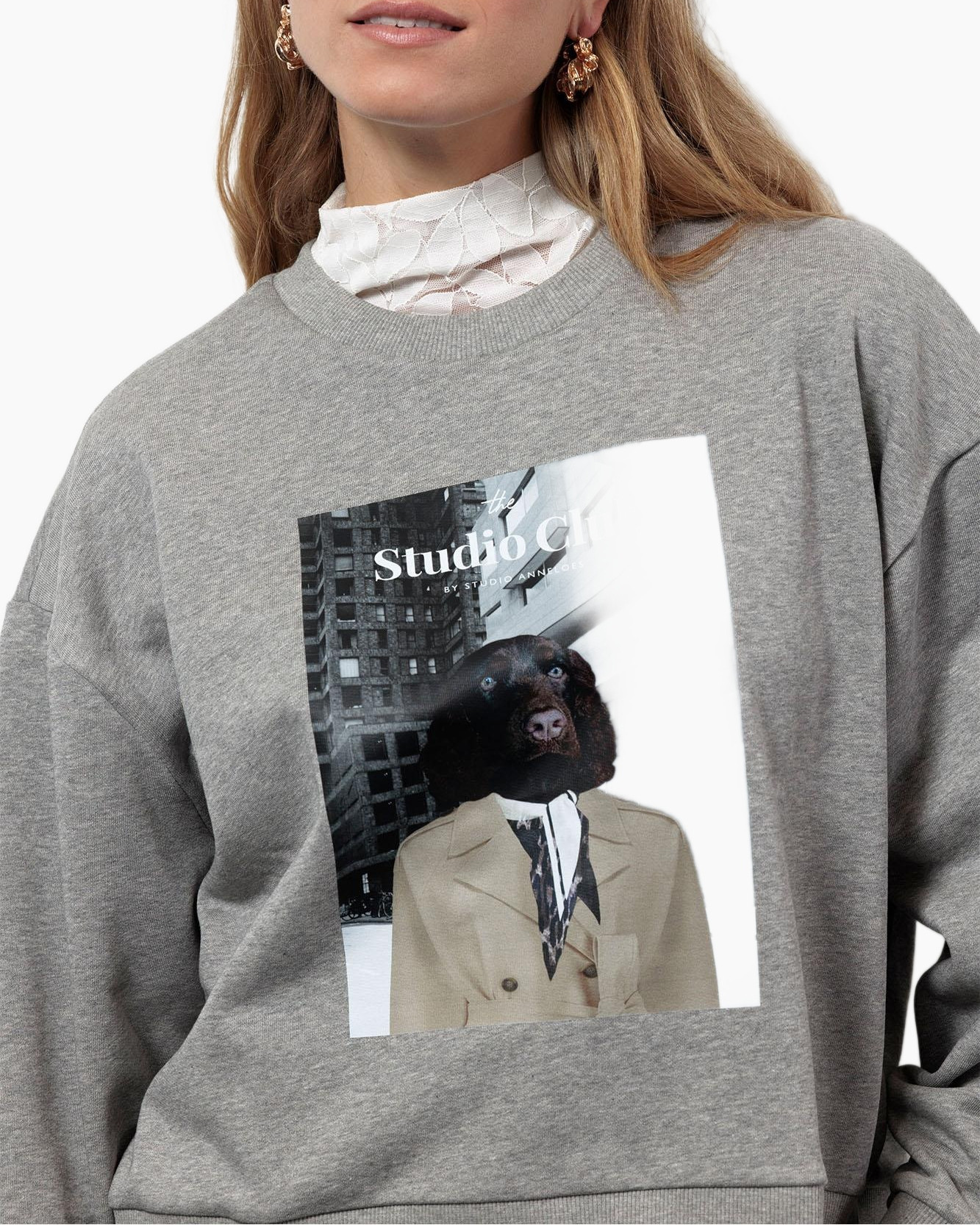 Pullover Charlie Sweater Grijs