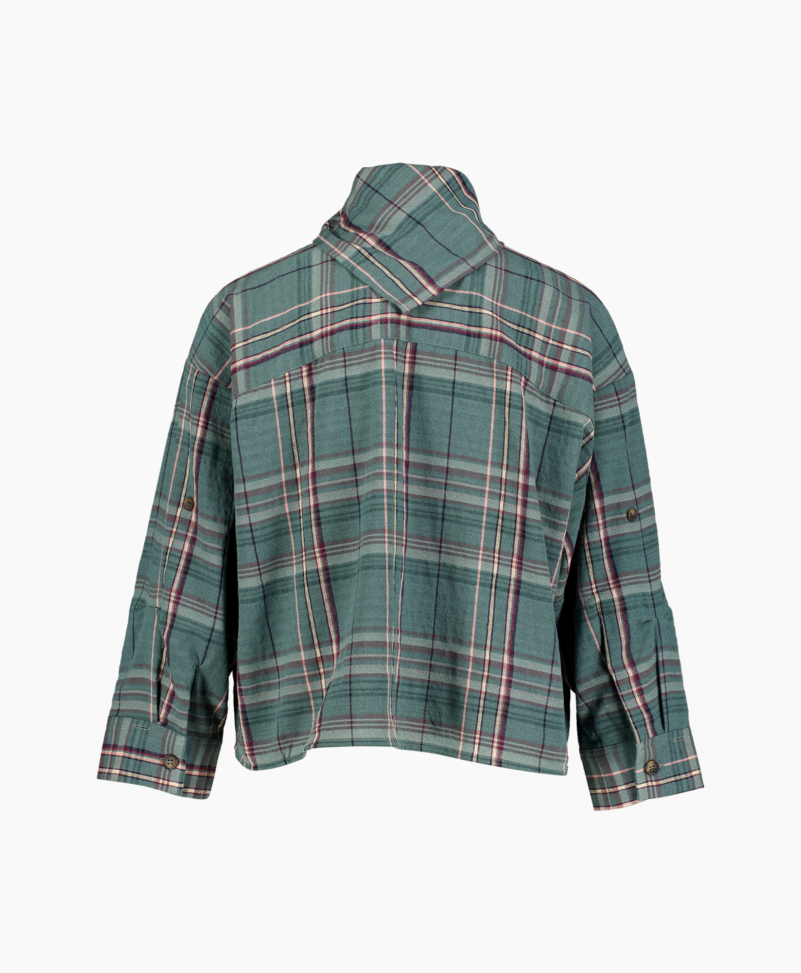 ruled_plaid?, groene ruit, lange mouw, kraag, achterkant