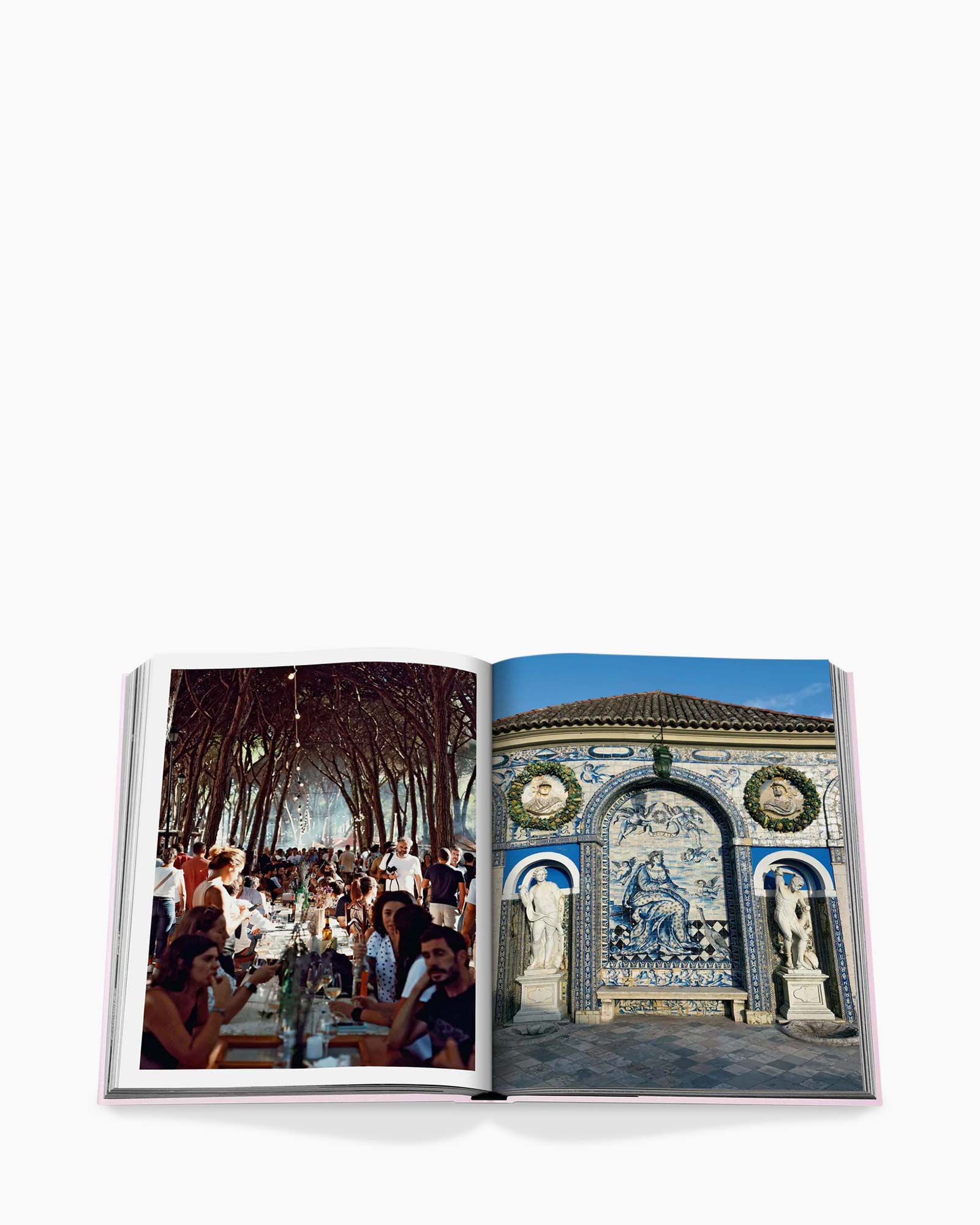 Boek, Volwassene, Vrouwelijk, Persoon, Vrouw