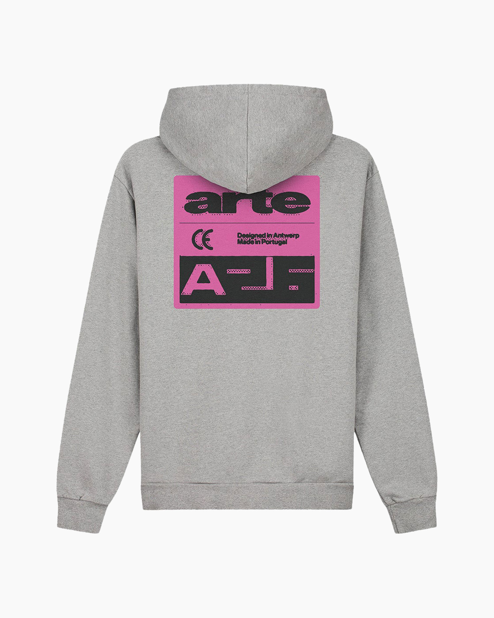 hoodie, grijs, grafisch, geprint, rugstuk achterkant