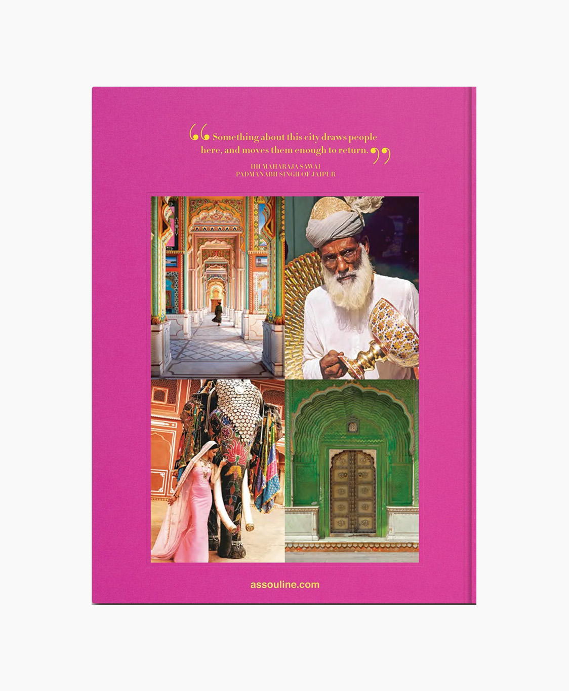 Boek Jaipur Splendor Diversen