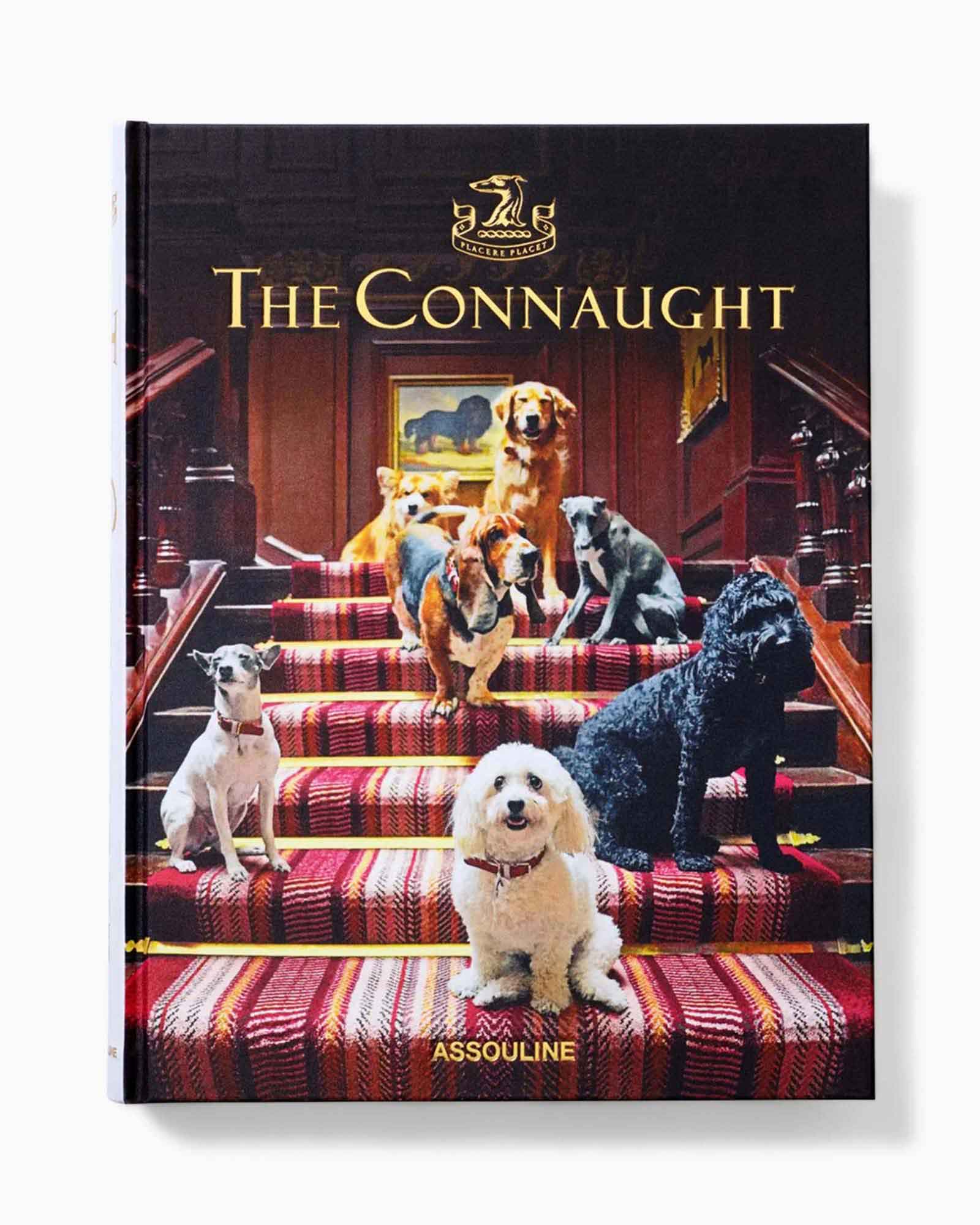 Staircase, Book, Publication, Canine, Dog