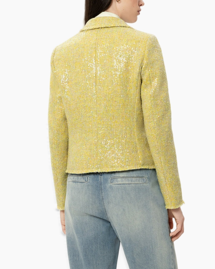 geel blazer, sequined blazer, tweed blazer, dubbelbreasted, kleding