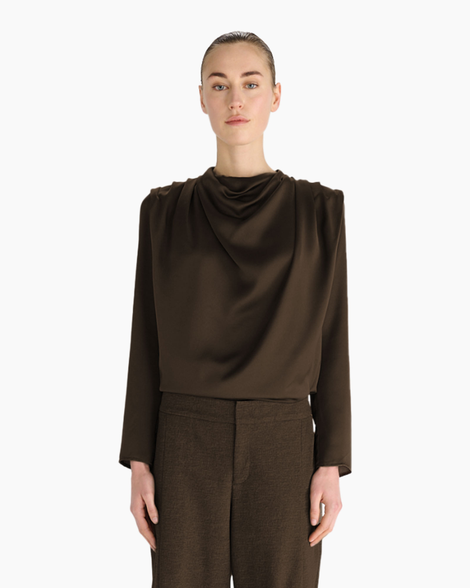 blouse, satiny, bruin, langarm, gladde broek?