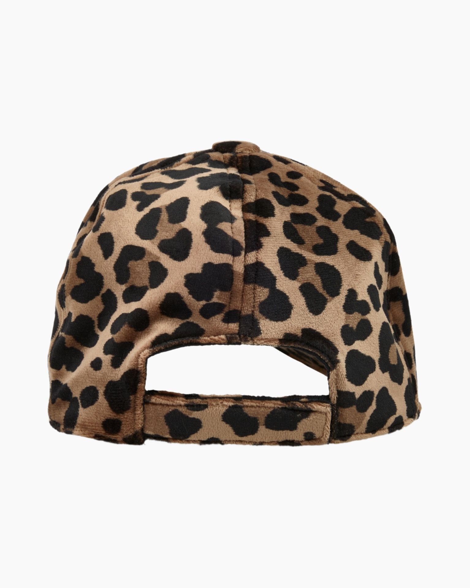 Pet Zs H2.06 Z43 Bruin dessin