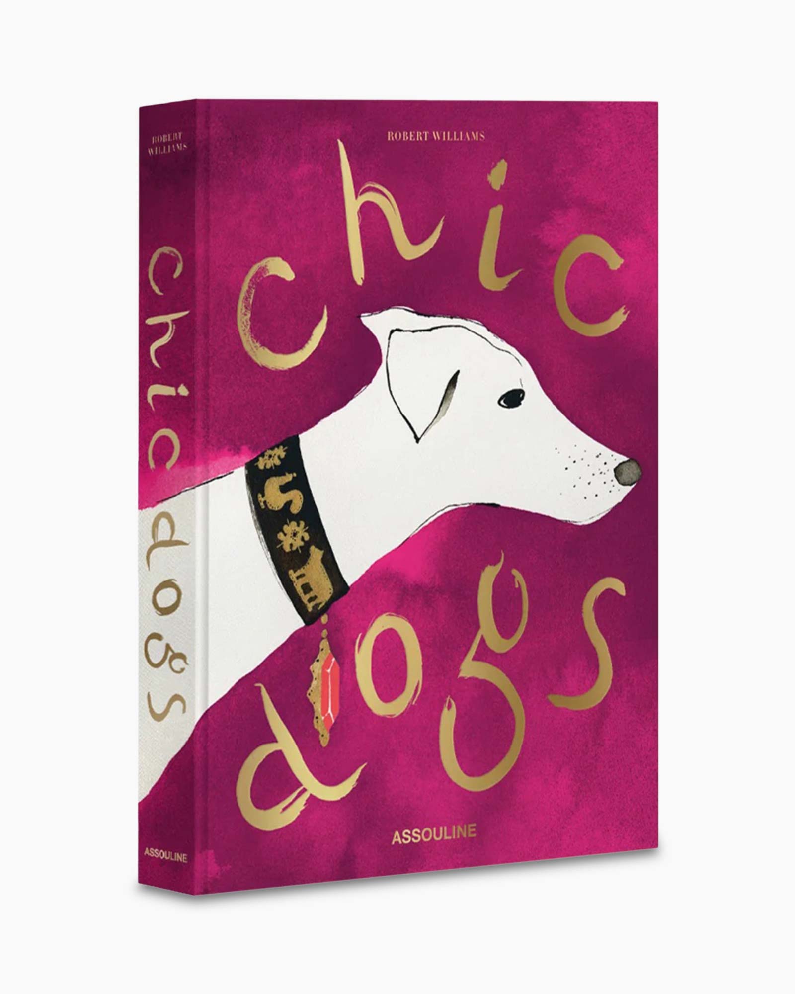 Boek Chic Dogs Diversen