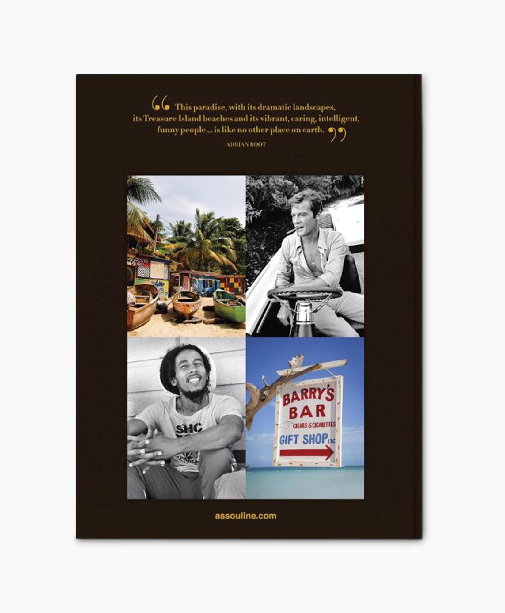 Boek Jamaica Vibes Diversen