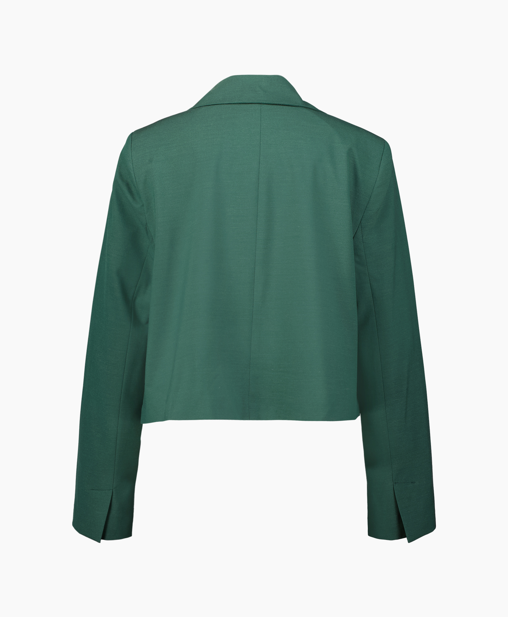 Ganni Blazer F7887 Groen
