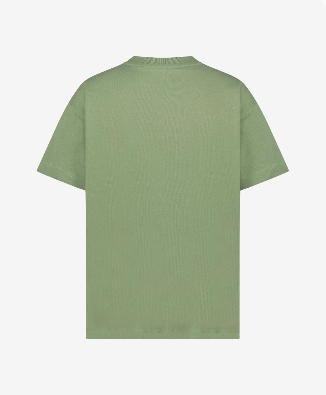 Flaneur Homme T-shirt Korte Mouw Flaneur Signature Groen