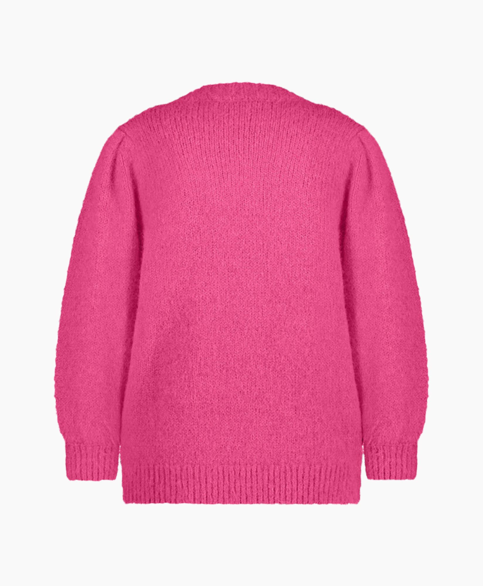 Roze vest 2025 studio anneloes
