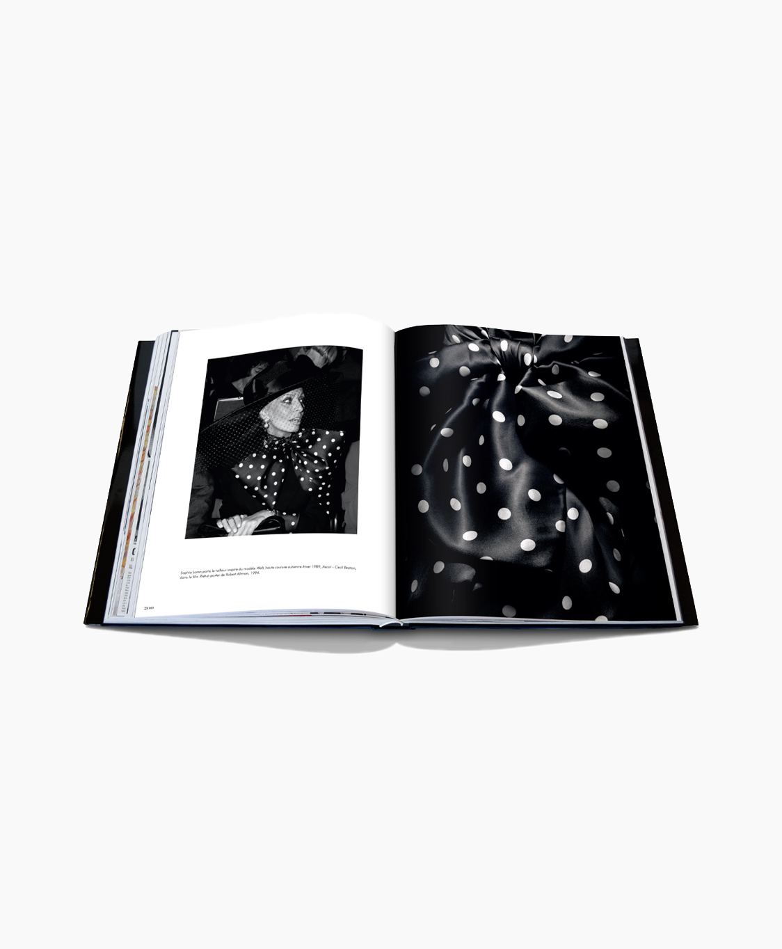Boek Dior By Ferre (fr) Diversen