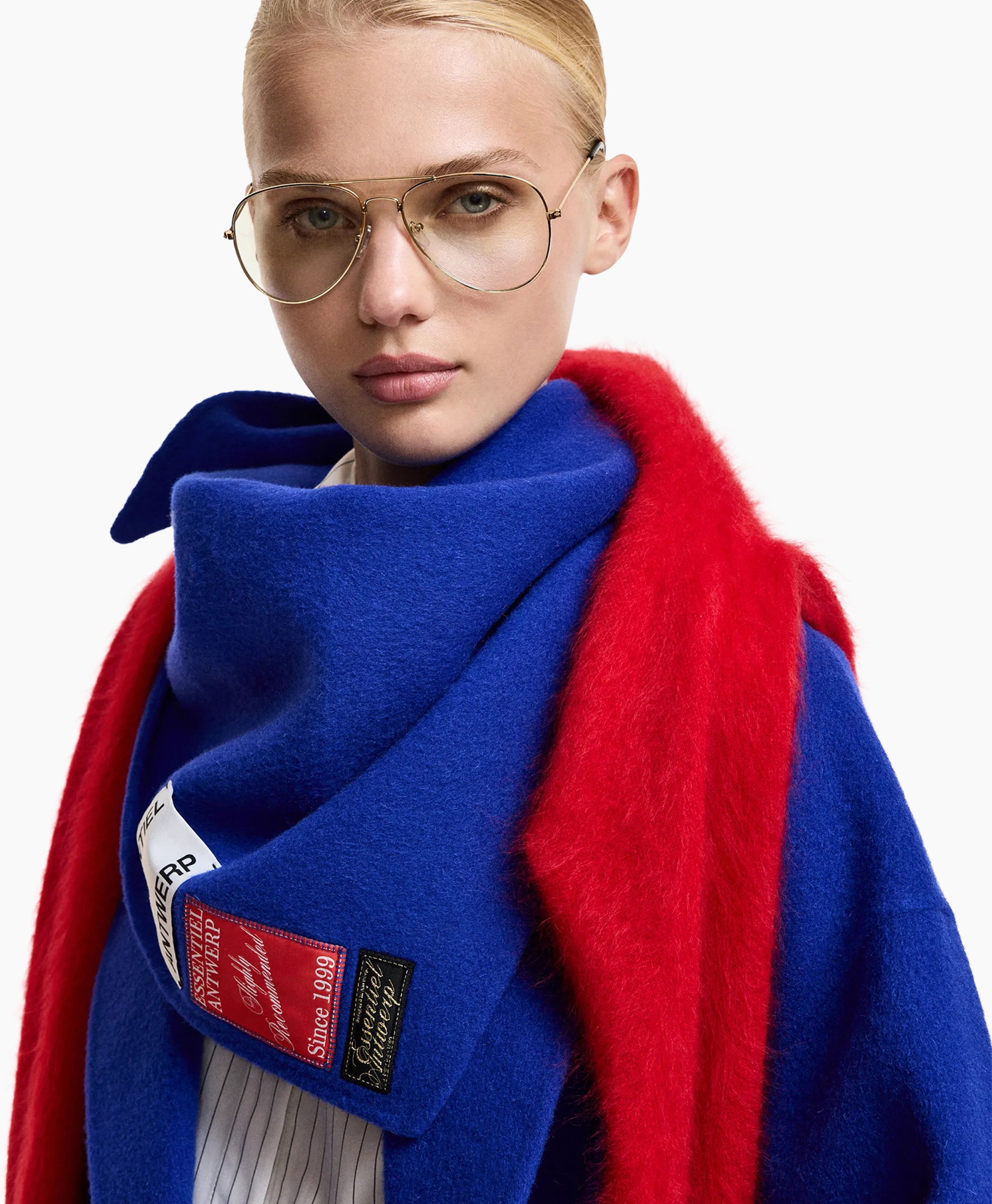 brillen, sjaal, jas, blauw, rood
