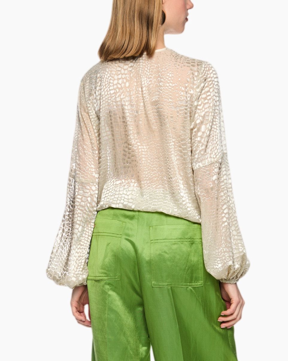 blouse, doorschijnend, v-hals, langoed, neutraal