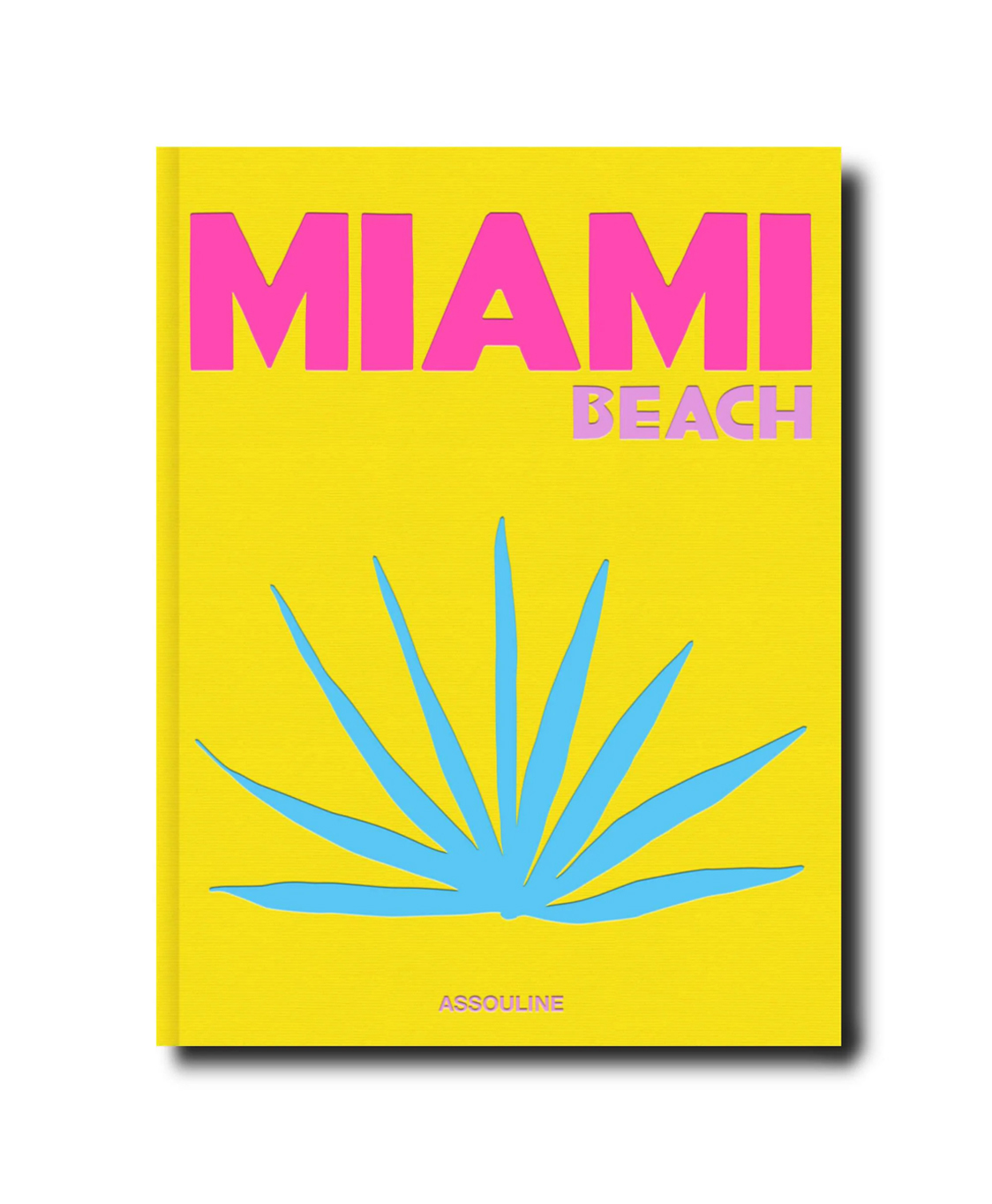 Boek Miami Beach Diversen