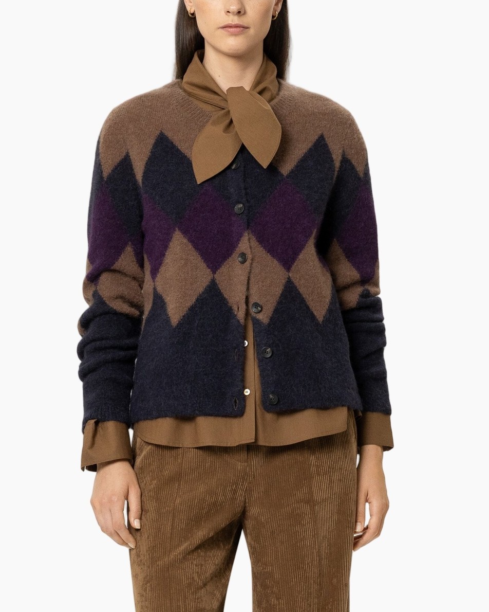 cardigan, argyle, brei, knopen, multikleur