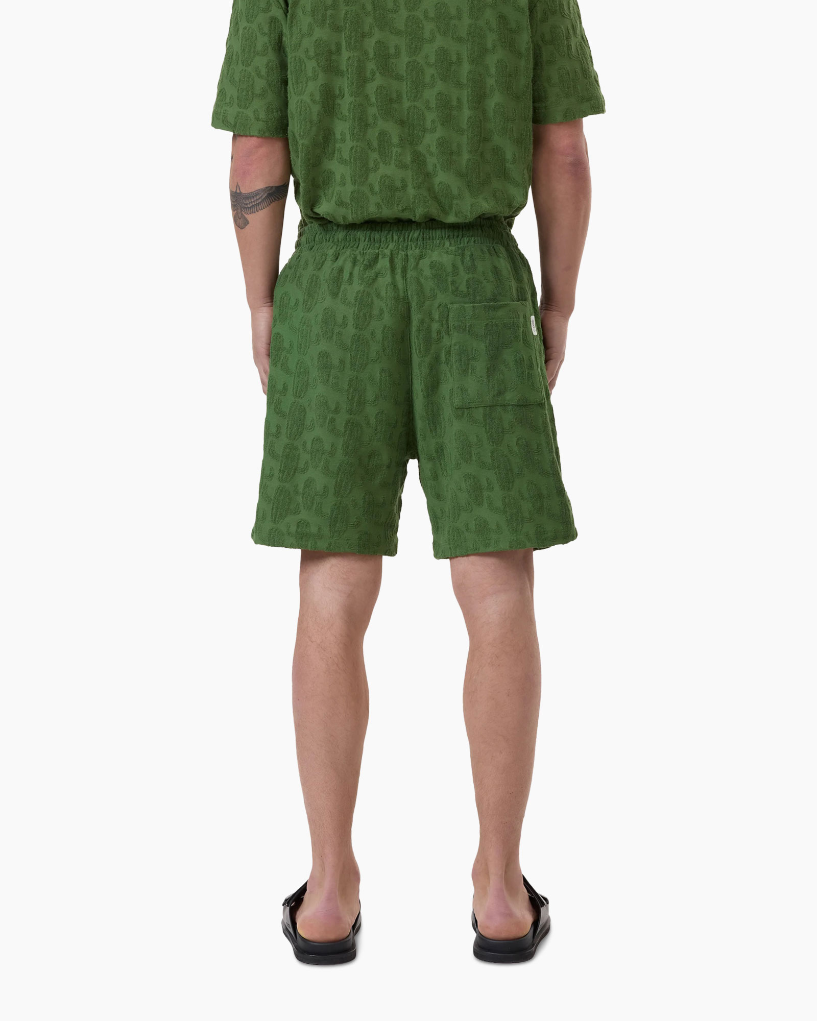 Korte Broek Shorts Groen