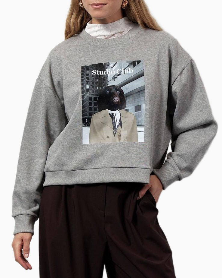 Pullover Charlie Sweater Grijs